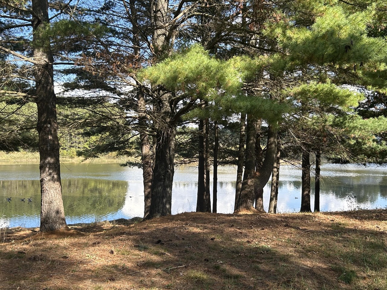 6878 Bantry Bay, Canadian Lakes, MI, 49346