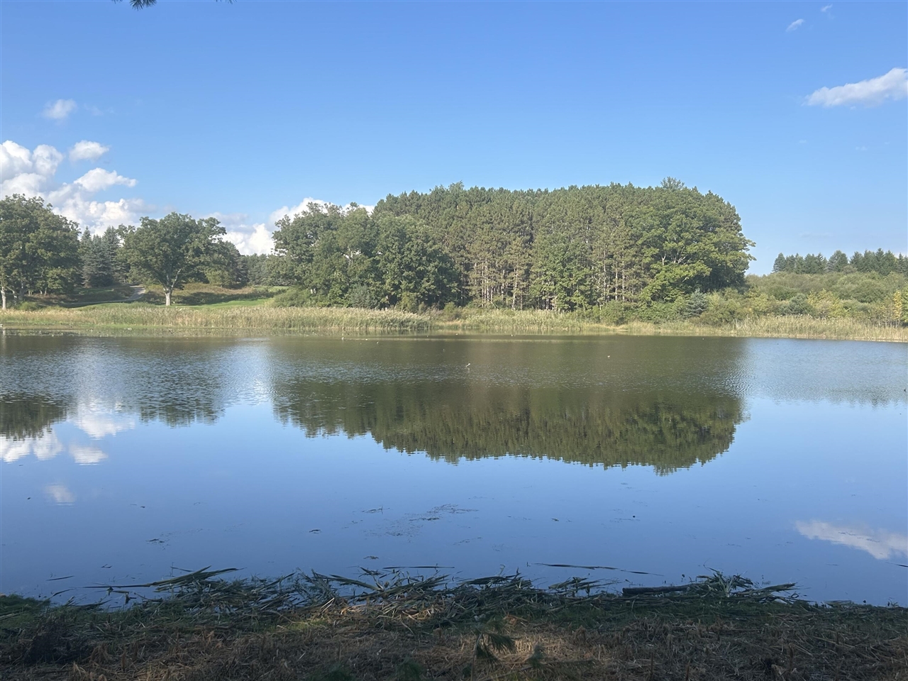 6878 Bantry Bay, Canadian Lakes, MI, 49346