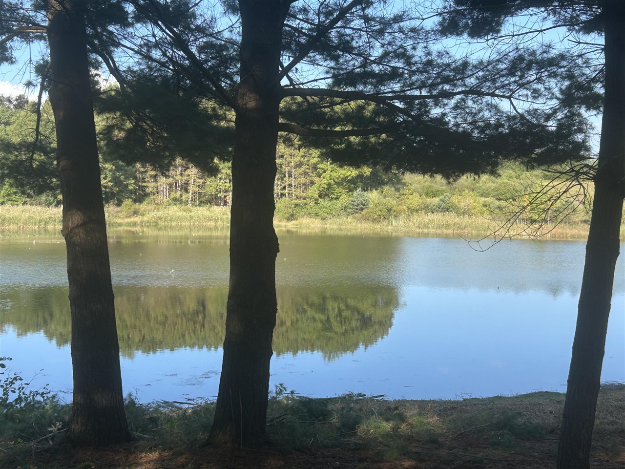 6878 Bantry Bay, Canadian Lakes, MI, 49346
