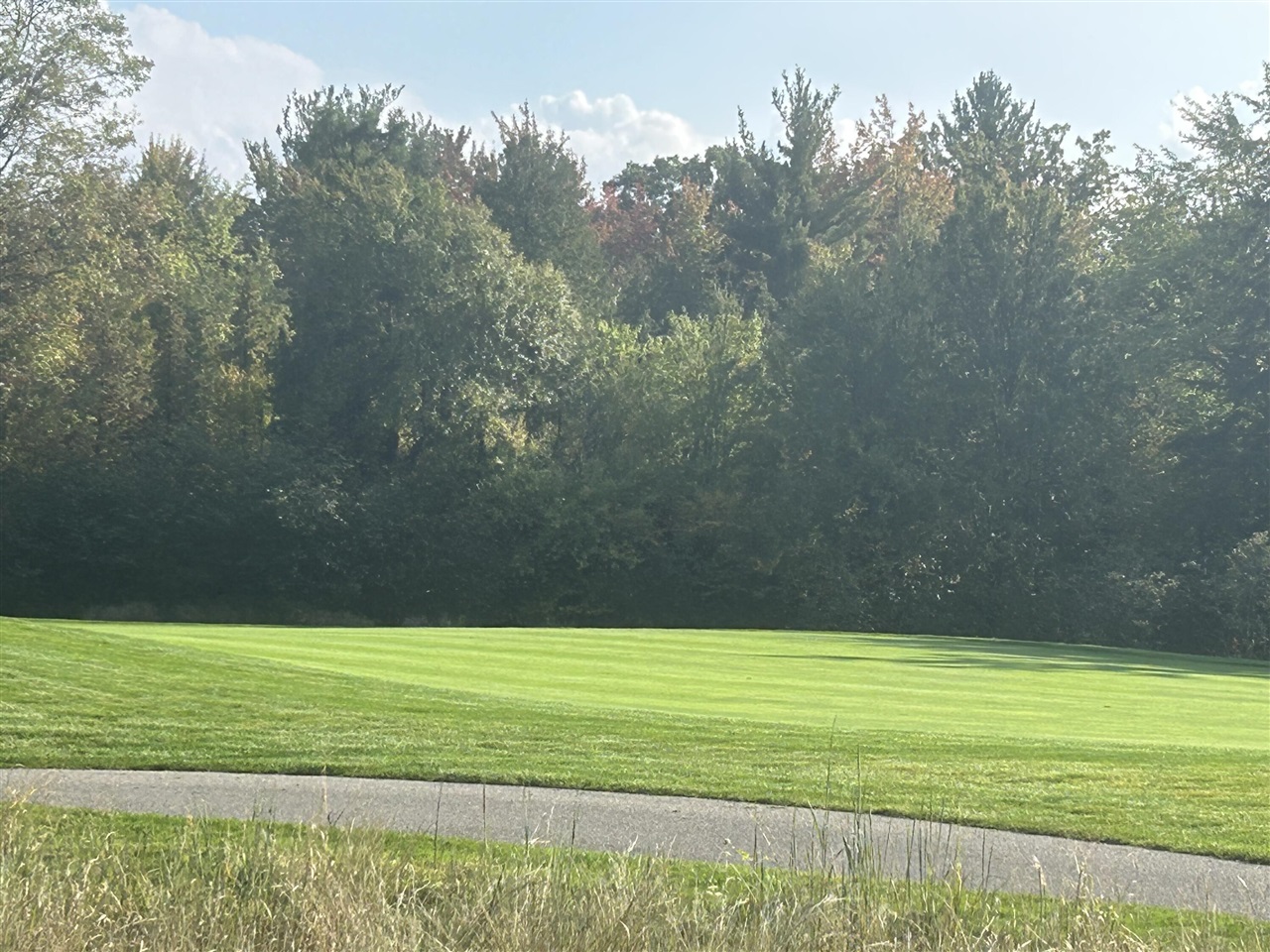 6878 Bantry Bay, Canadian Lakes, MI, 49346