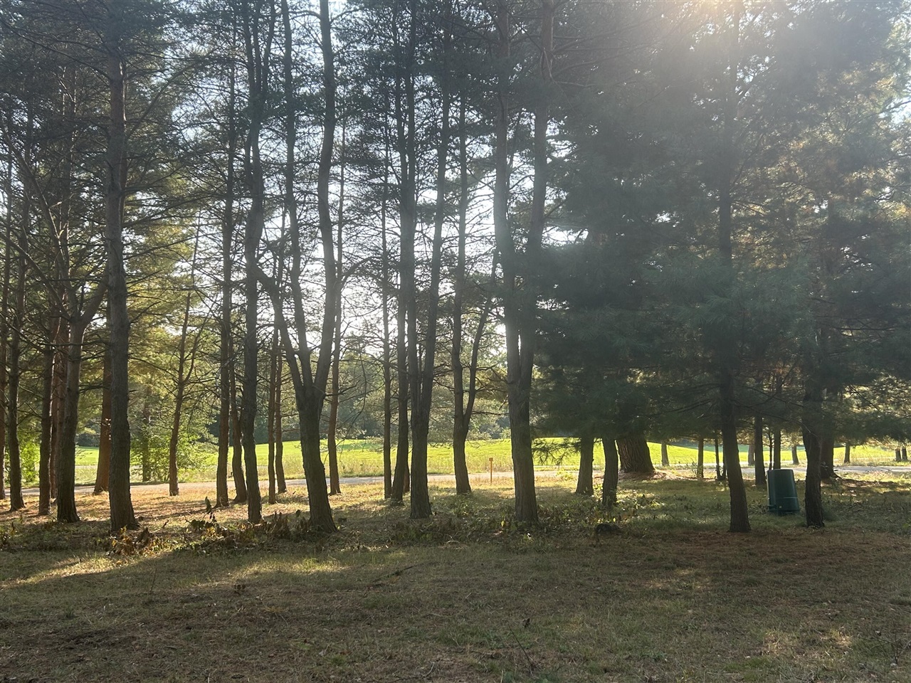 6878 Bantry Bay, Canadian Lakes, MI, 49346
