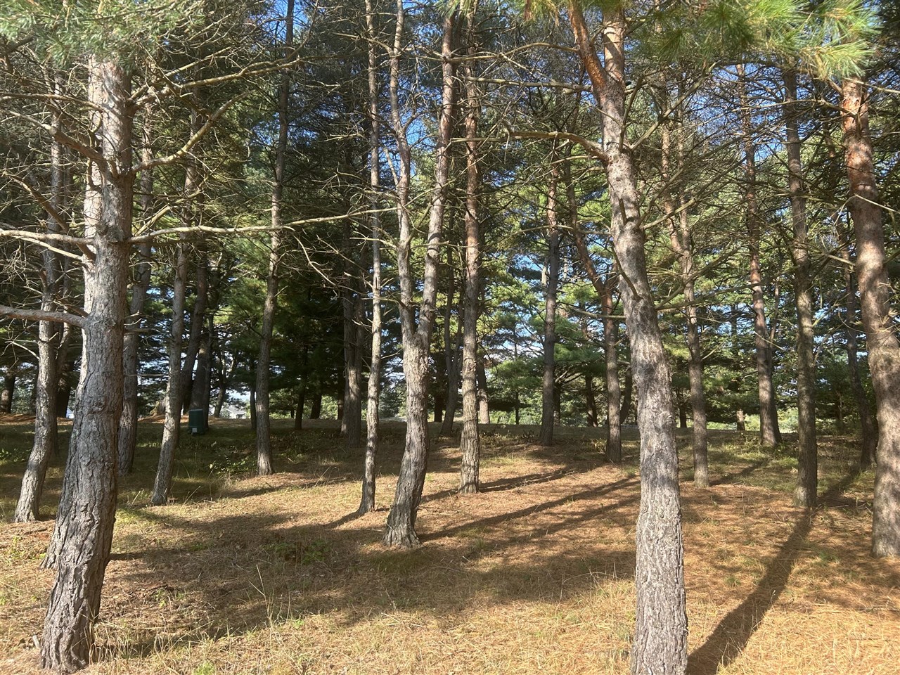 6878 Bantry Bay, Canadian Lakes, MI, 49346