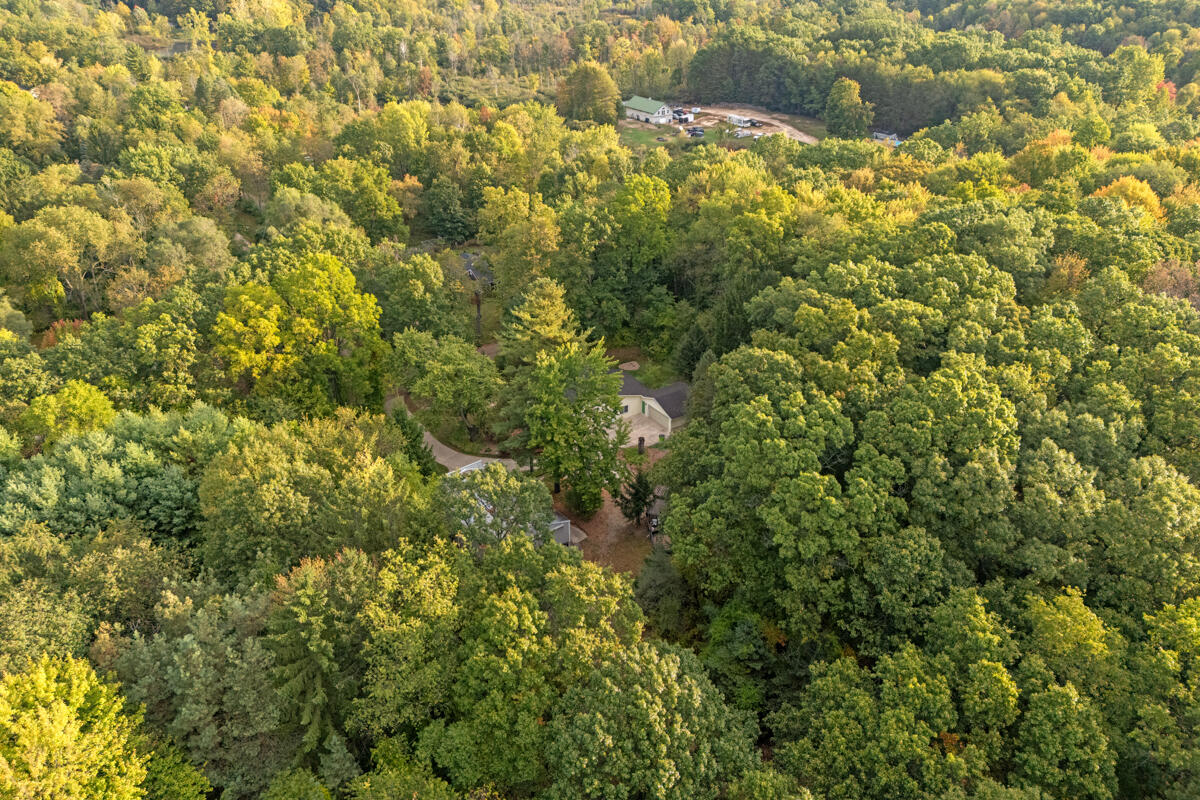 9300 Conservation Street, Ada, MI, 49301-9753