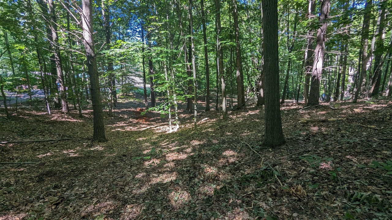 Homes for sale in Custer, MI | V/L E Kissing Oaks Trl, Custer, MI 49405 | MLS# 70497811