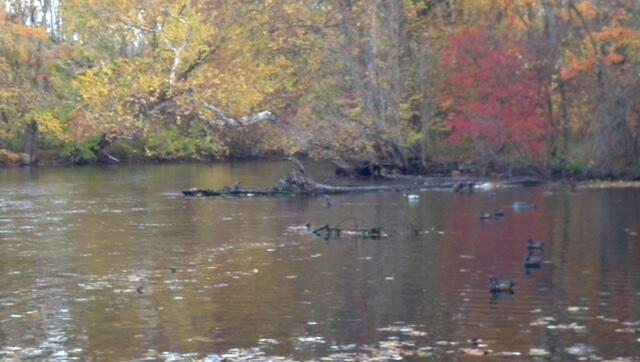 4th image of 2255 River Rd, Hastings, MI 49058 | MLS# 70498651