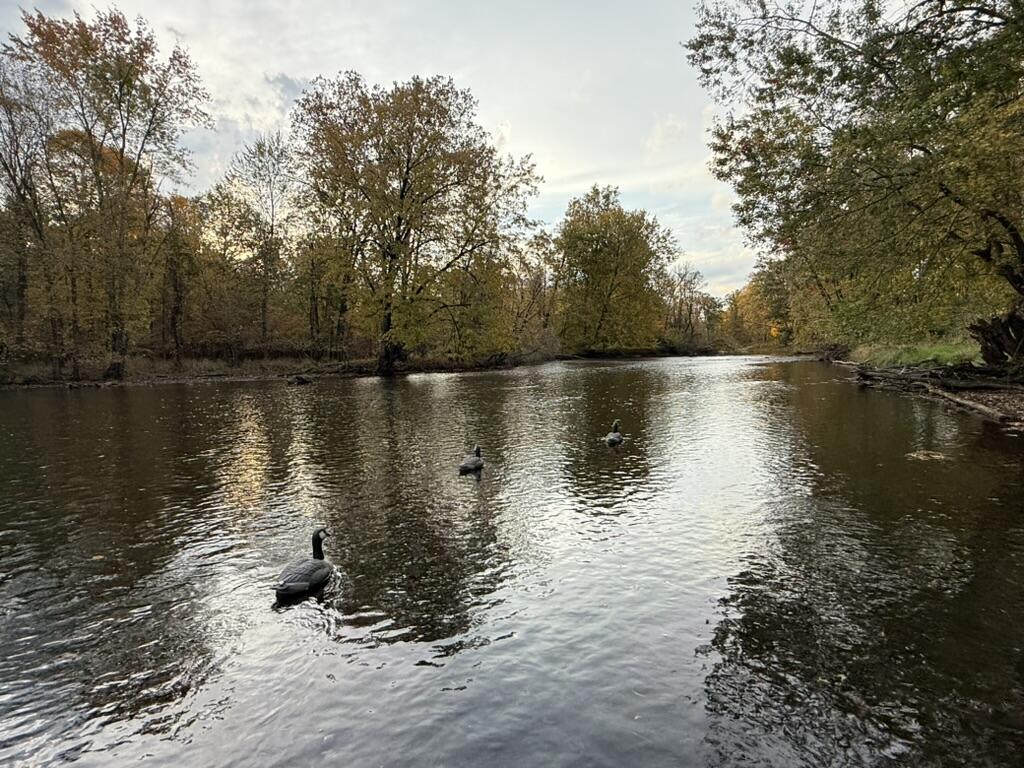 5th image of 2255 River Rd, Hastings, MI 49058 | MLS# 70498651