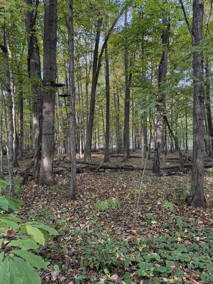 96th image of 2255 River Rd, Hastings, MI 49058 | MLS# 70498651