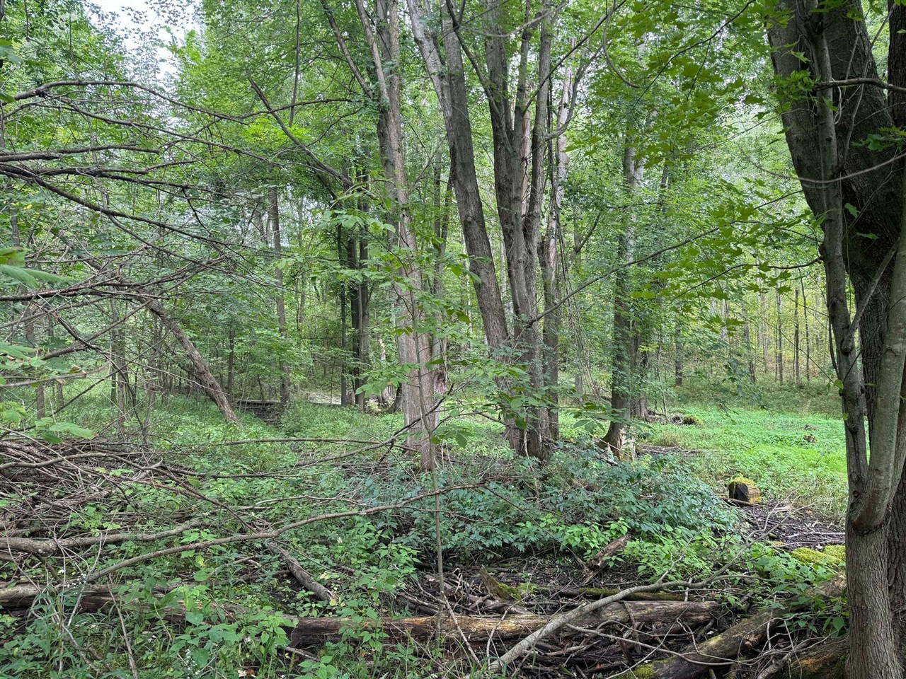 Pawnee Trail, Evart, MI, 49631