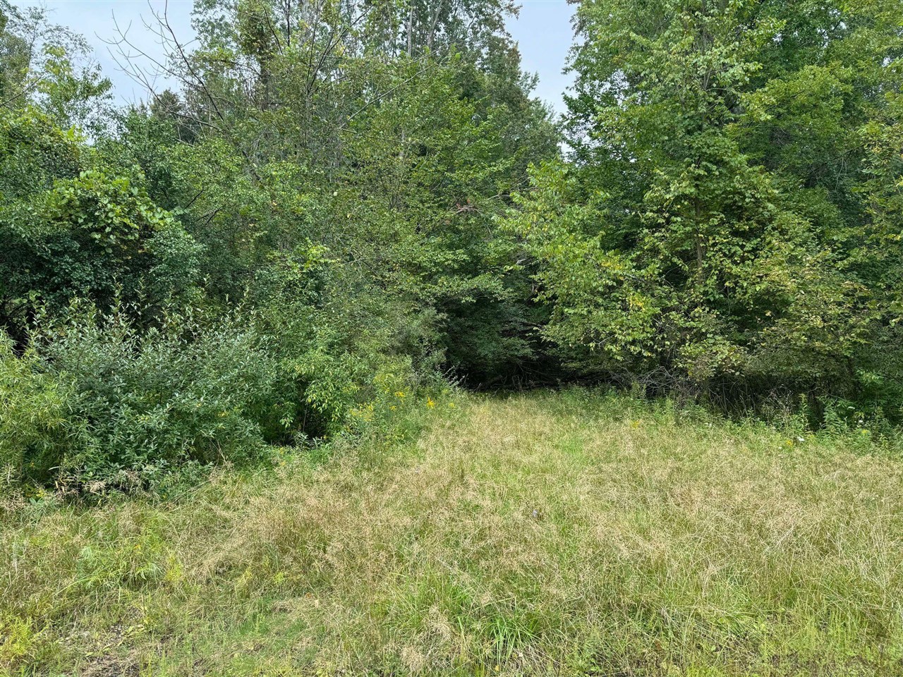 Pawnee Trail, Evart, MI, 49631