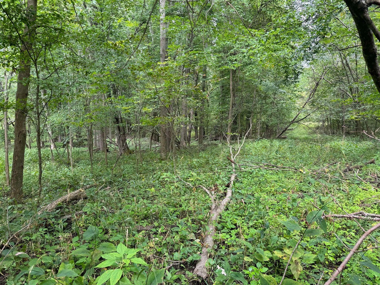 Pawnee Trail, Evart, MI, 49631