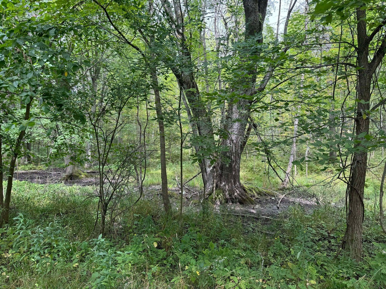 Pawnee Trail, Evart, MI, 49631