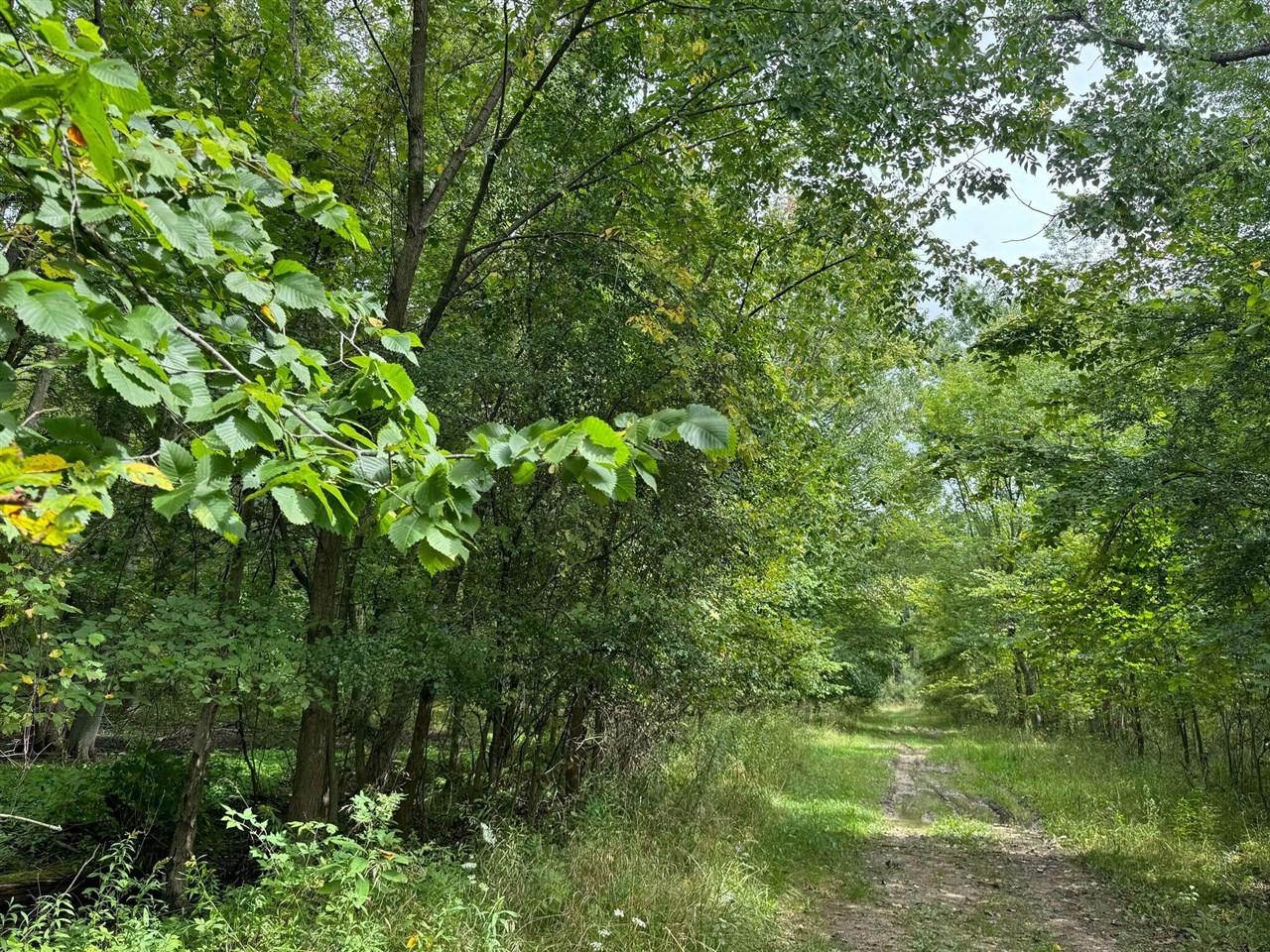 Pawnee Trail, Evart, MI, 49631