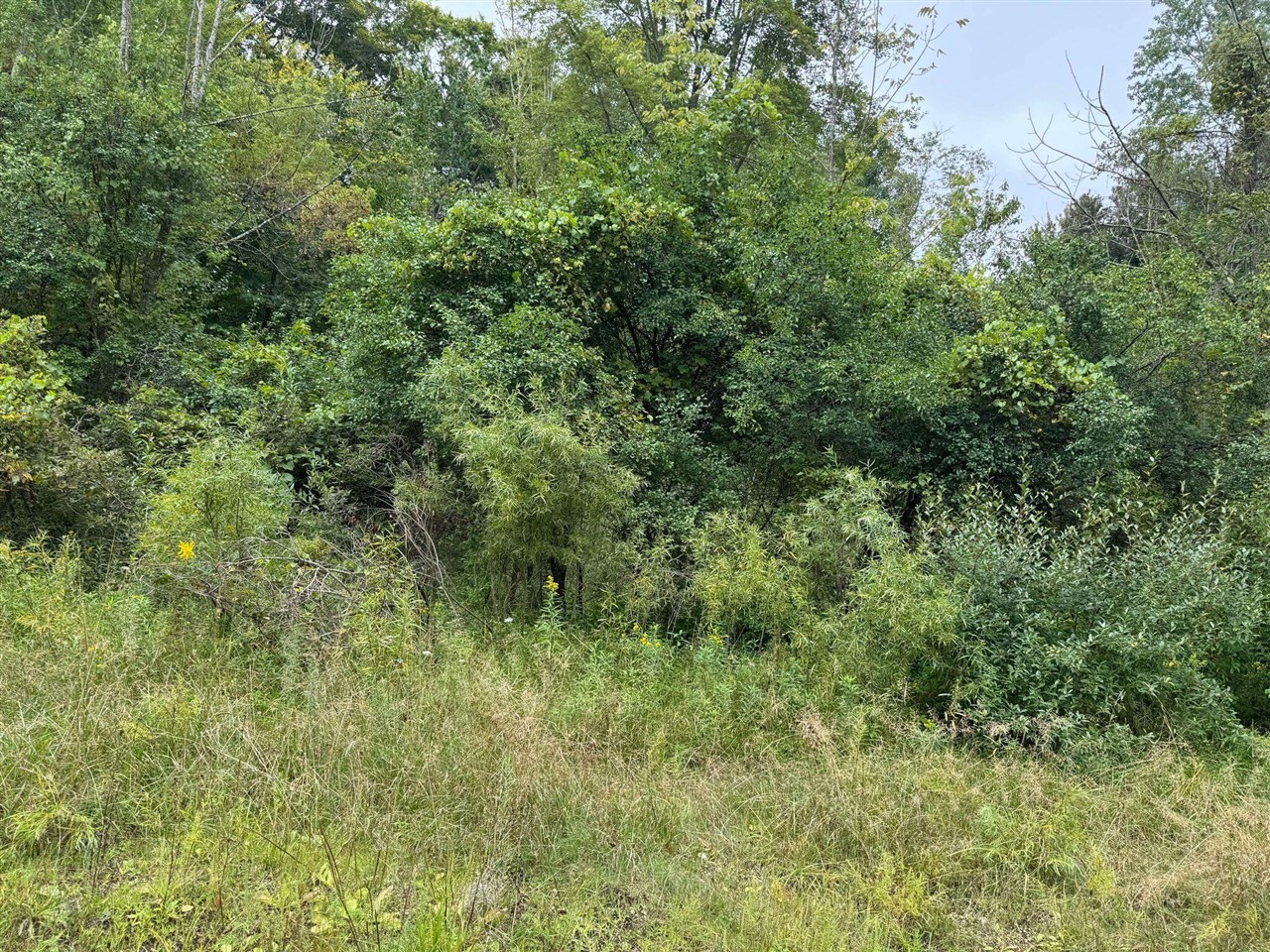 Pawnee Trail, Evart, MI, 49631