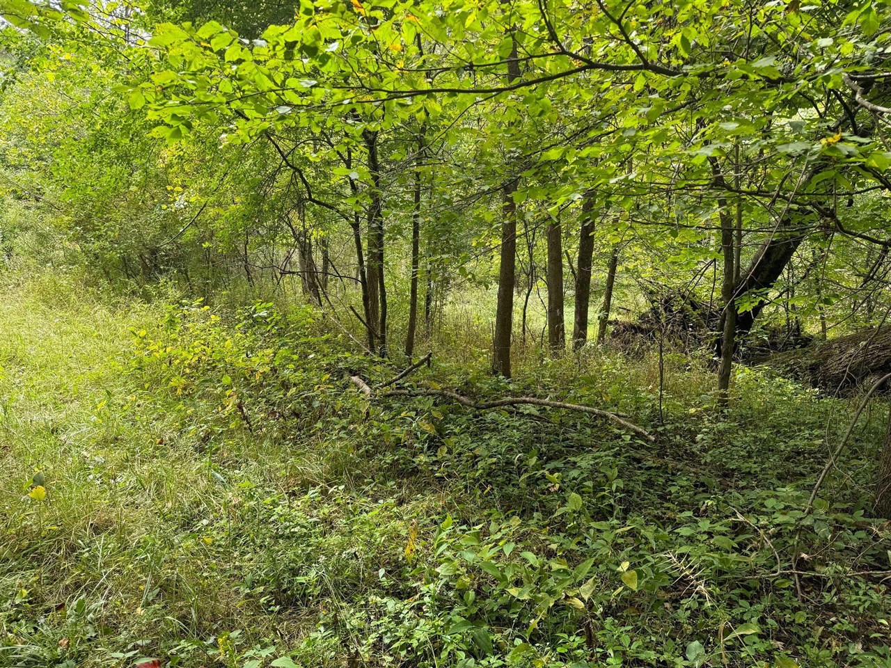 Pawnee Trail, Evart, MI, 49631