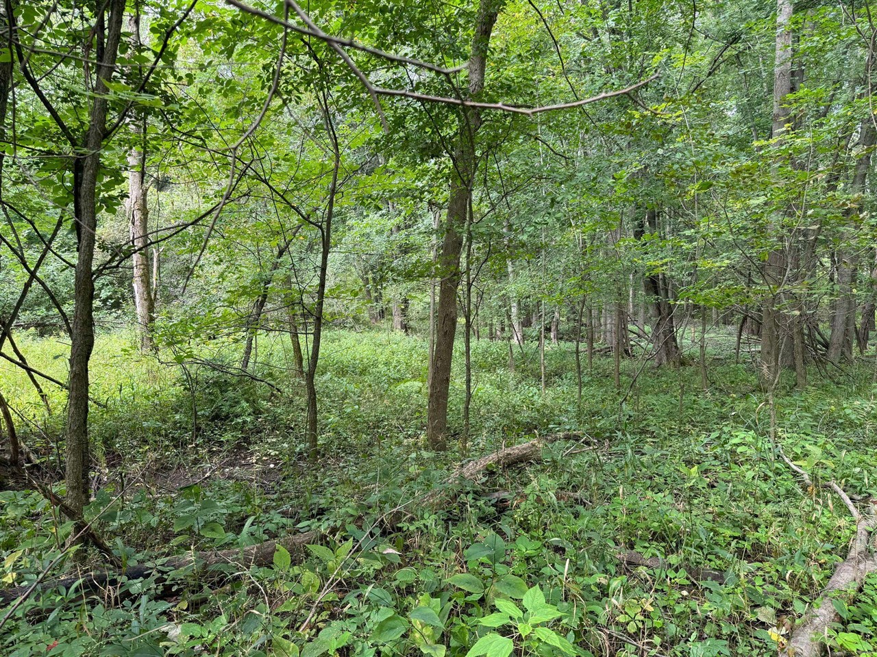 Pawnee Trail, Evart, MI, 49631