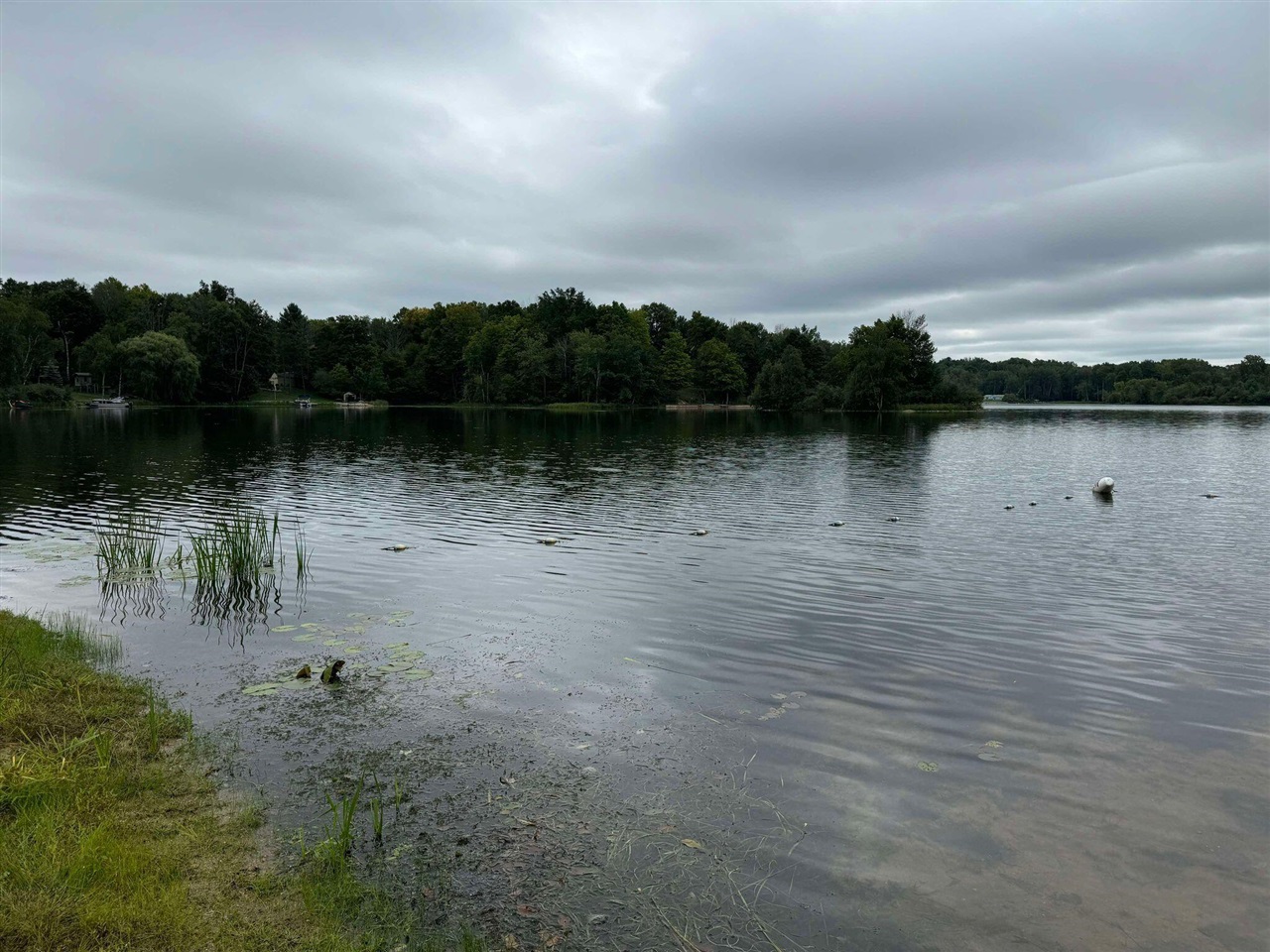 Pawnee Trail, Evart, MI, 49631