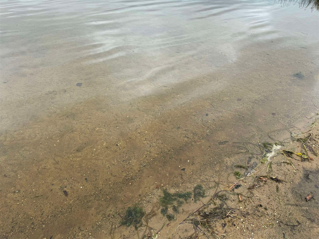 Pawnee Trail, Evart, MI, 49631