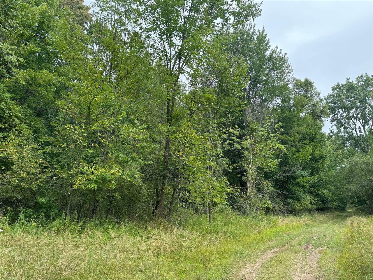 Pawnee Trail, Evart, MI, 49631