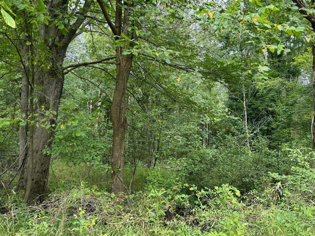 Pawnee Trail, Evart, MI, 49631