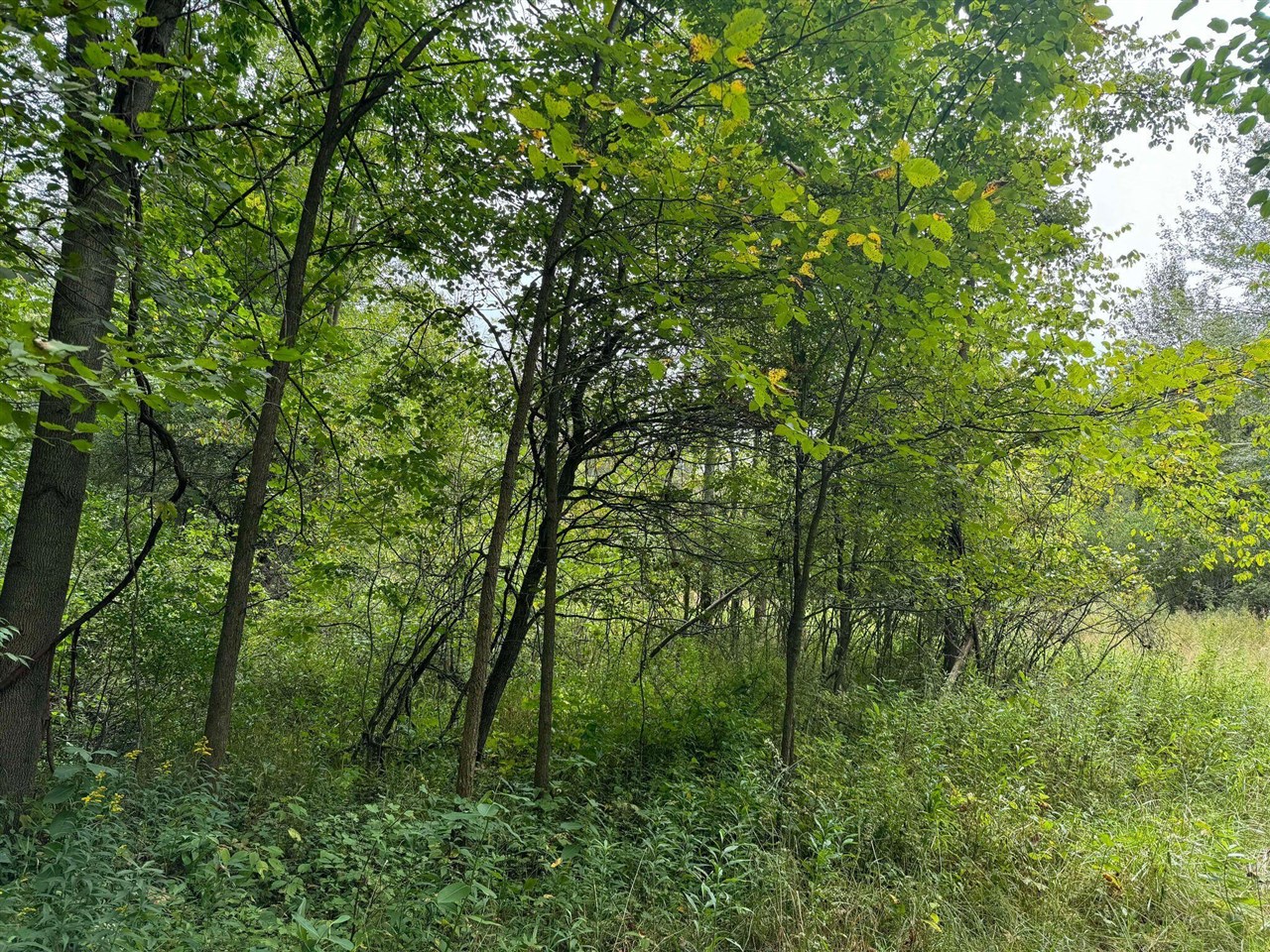 Pawnee Trail, Evart, MI, 49631