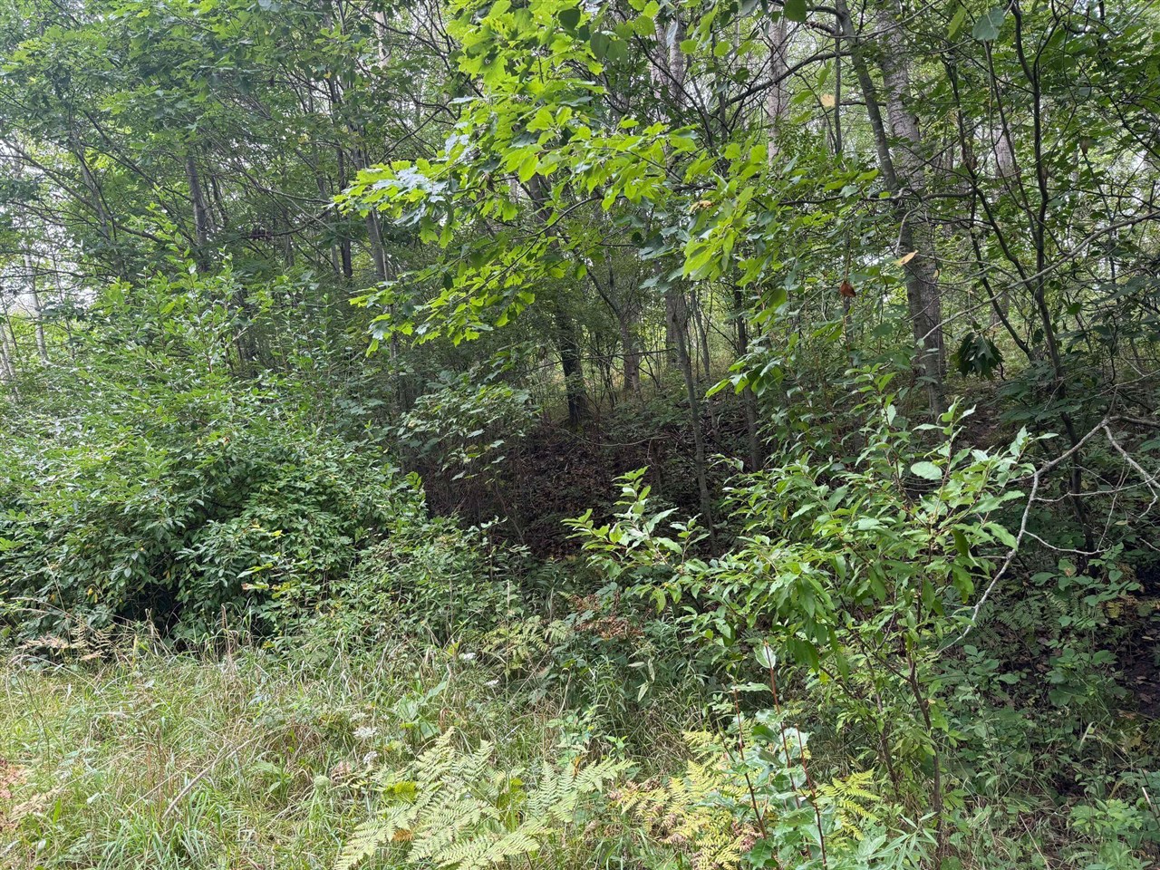 Pawnee Trail, Evart, MI, 49631