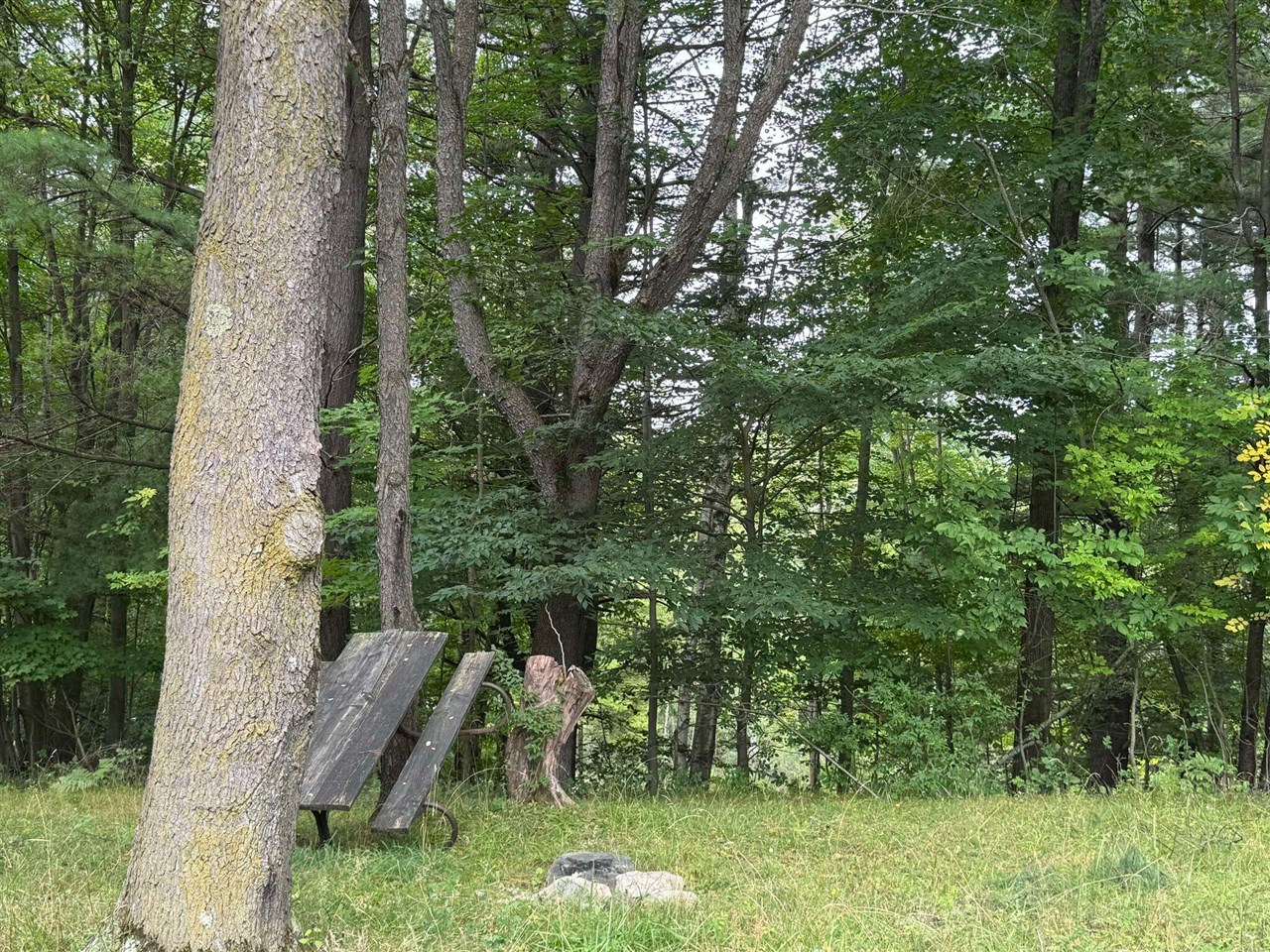 Pawnee Trail, Evart, MI, 49631