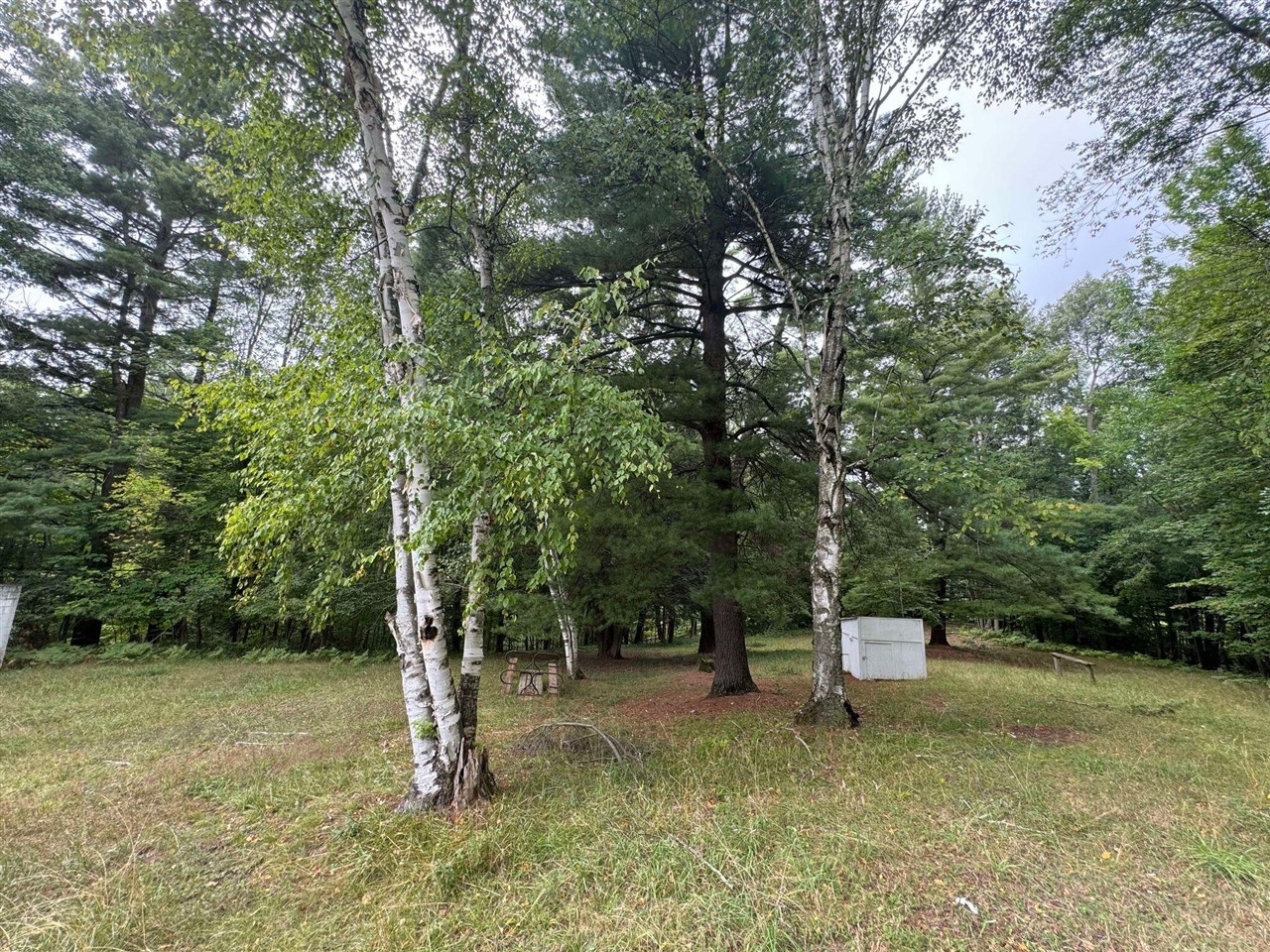 Pawnee Trail, Evart, MI, 49631