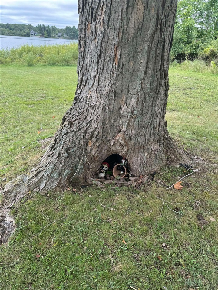 Pawnee Trail, Evart, MI, 49631