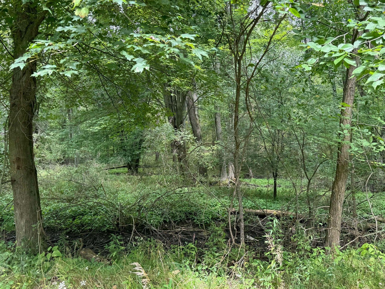 Pawnee Trail, Evart, MI, 49631