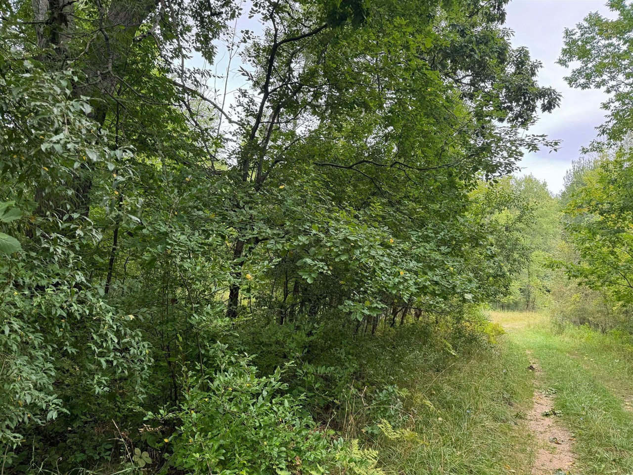 Pawnee Trail, Evart, MI, 49631
