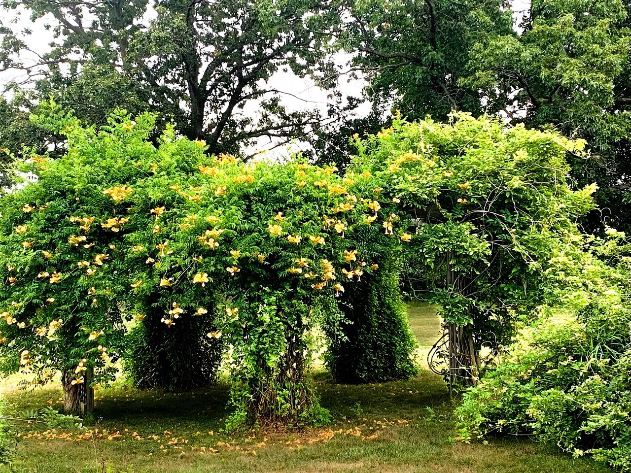 14359 S Dixie Highway, Monroe, MI, 48161-9564