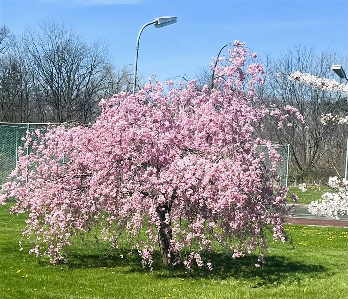 14359 S Dixie Highway, Monroe, MI, 48161-9564