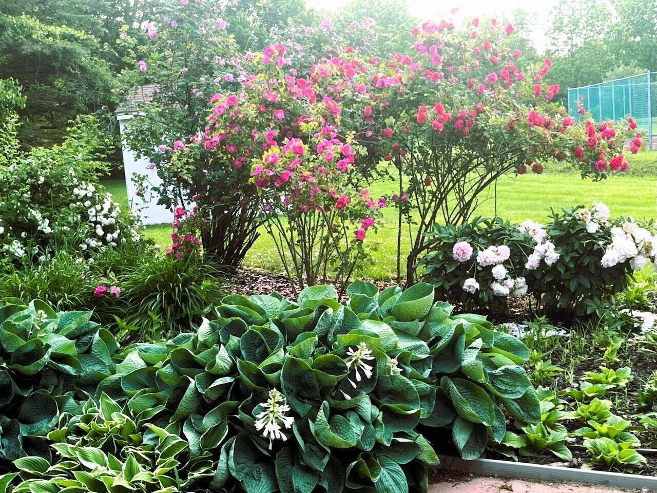 14359 S Dixie Highway, Monroe, MI, 48161-9564