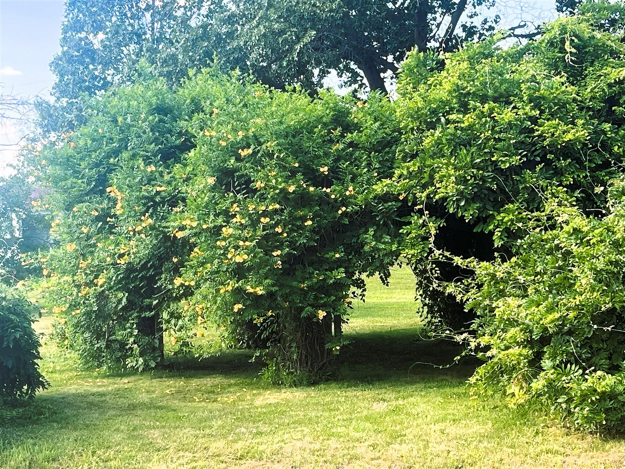 14359 S Dixie Highway, Monroe, MI, 48161-9564