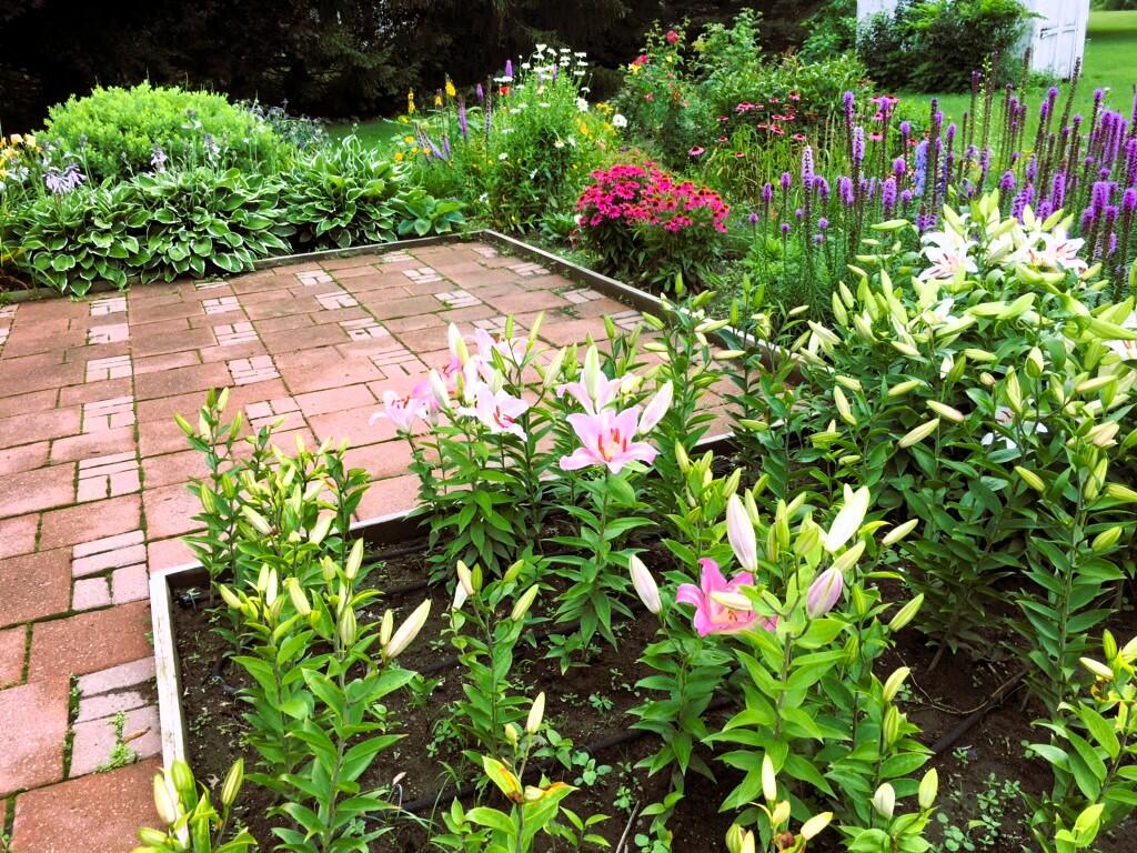 14359 S Dixie Highway, Monroe, MI, 48161-9564