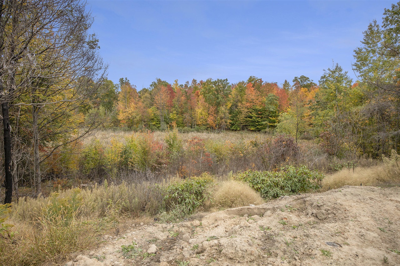 16000 NE Force Avenue, Cedar Springs, MI, 49319