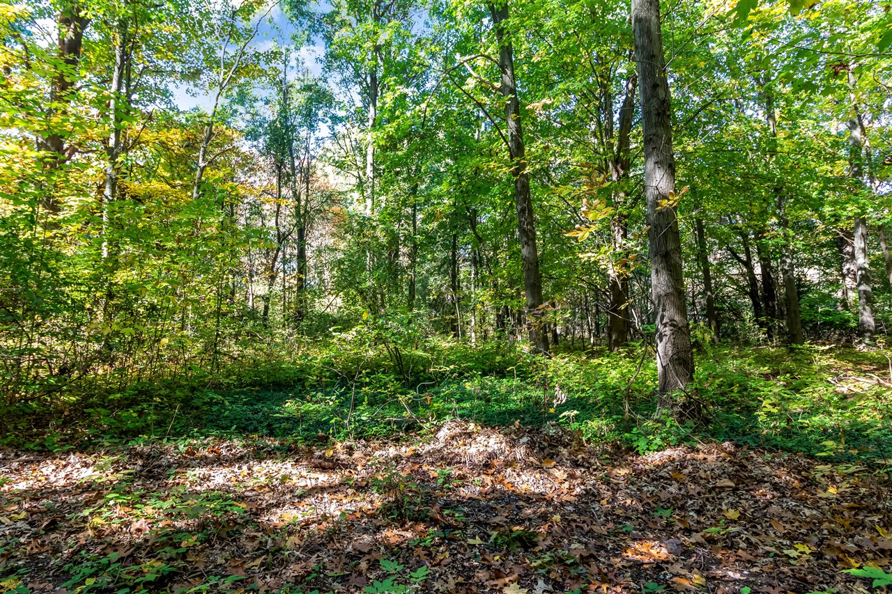 6565 Riverside Road, Fennville, MI, 49408