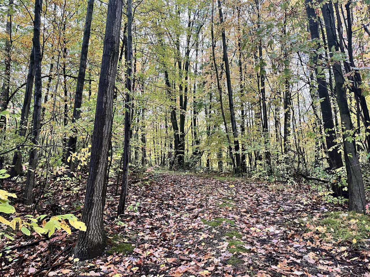 6477 E 128th Street, Sand Lake, MI, 49343