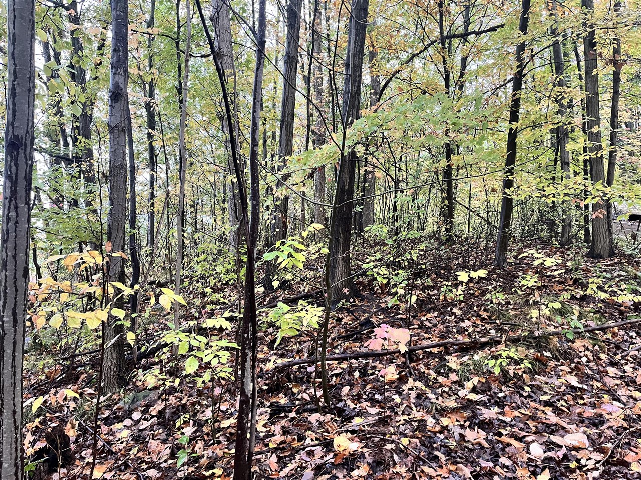 6477 E 128th Street, Sand Lake, MI, 49343