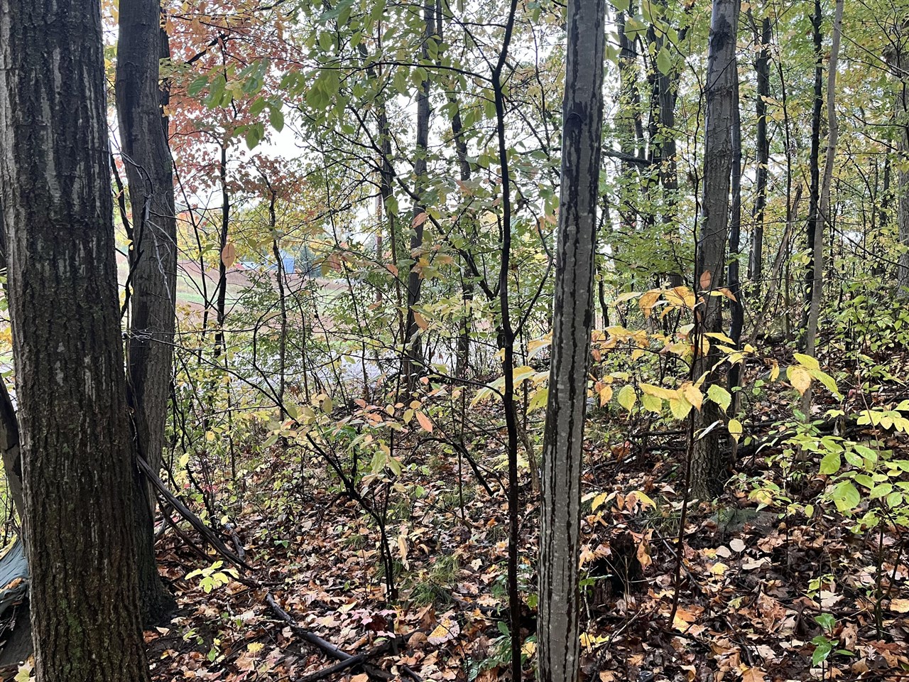 6477 E 128th Street, Sand Lake, MI, 49343