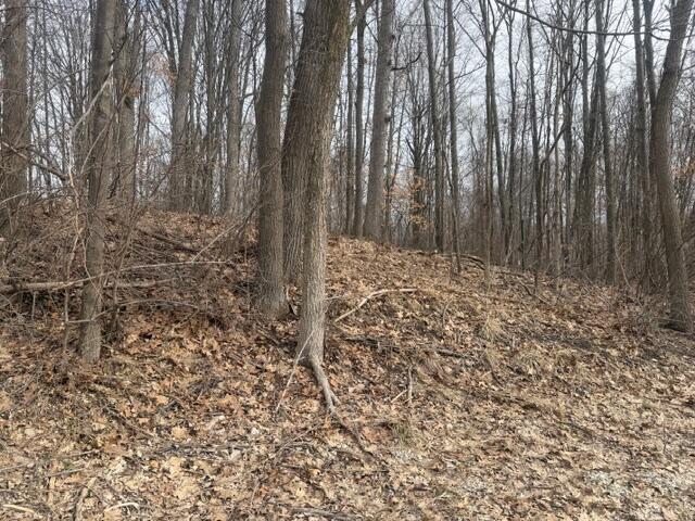 6477 E 128th Street, Sand Lake, MI, 49343