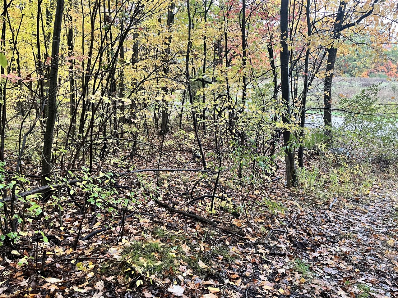 6477 E 128th Street, Sand Lake, MI, 49343