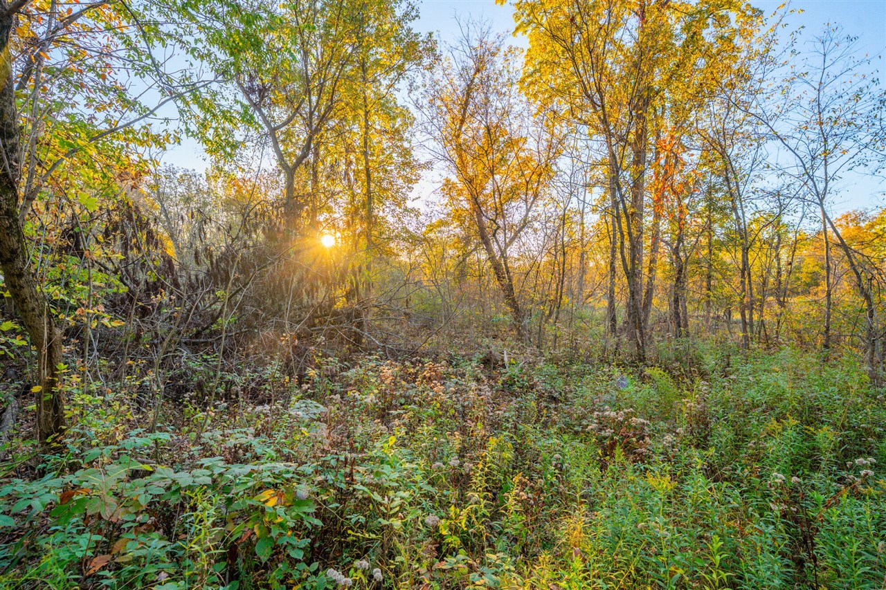 Homes for sale in Eaton Rapids, MI | 8840 Houston Rd, Eaton Rapids, MI 48827 | MLS# 70500971