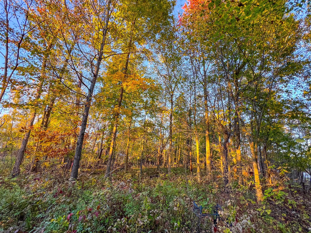 Homes for sale in Eaton Rapids, MI | 8840 Houston Rd, Eaton Rapids, MI 48827 | MLS# 70500971