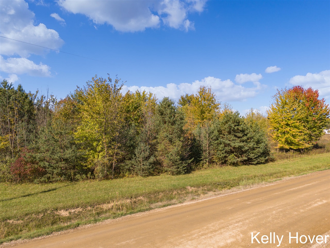 9653 52nd Avenue, Allendale, MI, 49401-9308