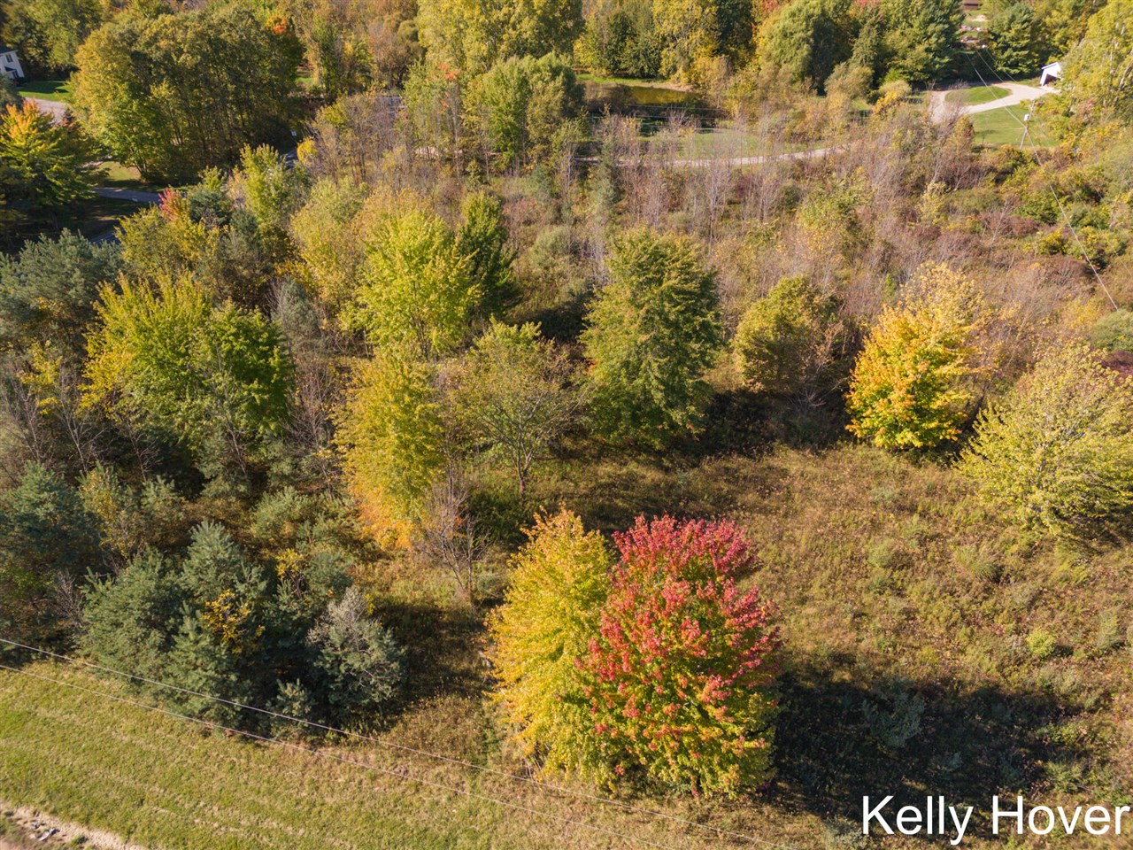 9653 52nd Avenue, Allendale, MI, 49401-9308