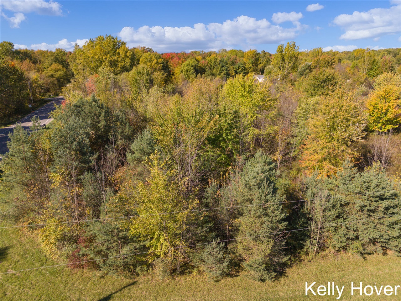 9653 52nd Avenue, Allendale, MI, 49401-9308