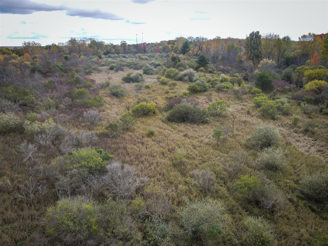 S Crawford Road, Mount Pleasant, MI, 48858