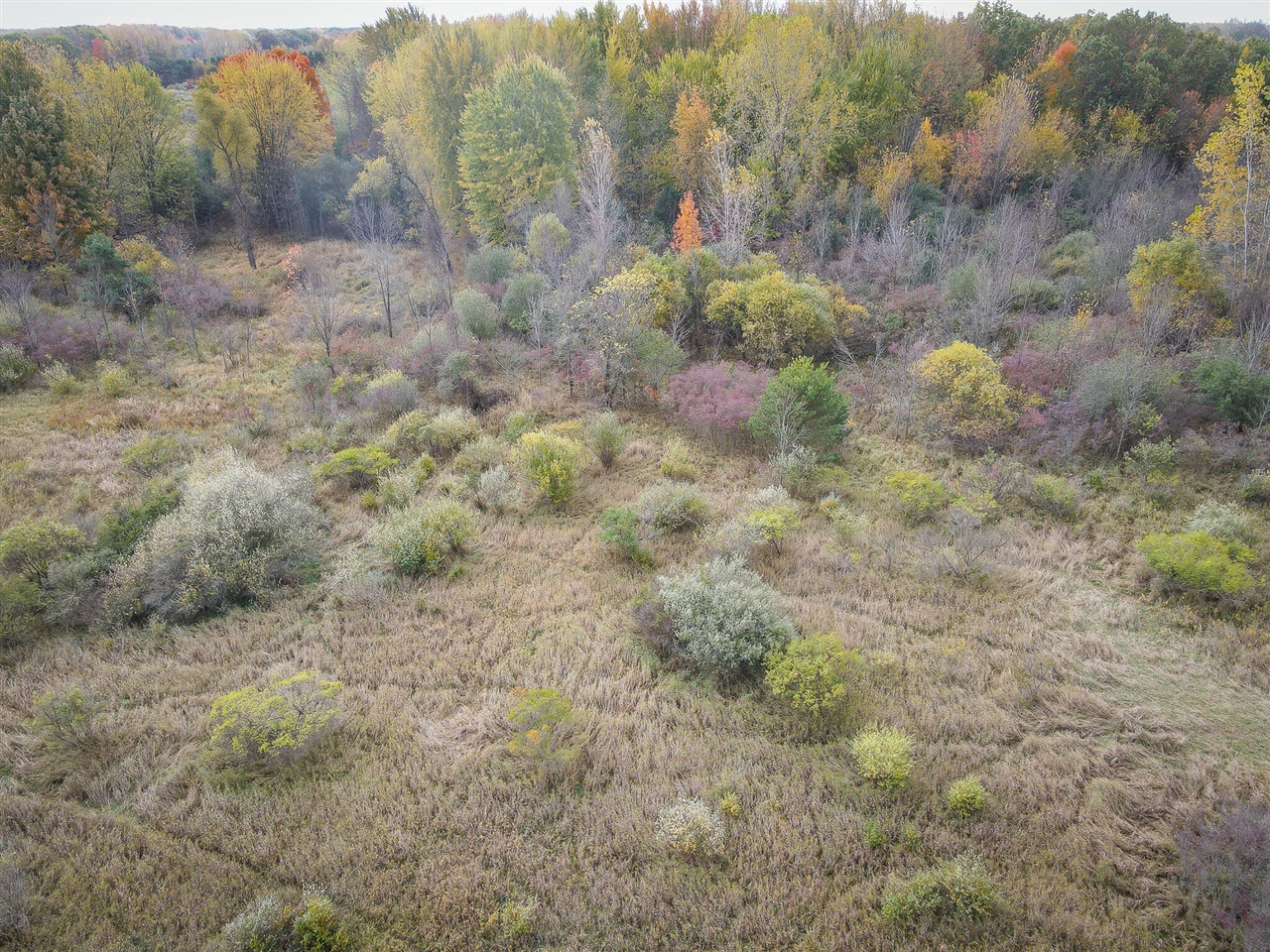 S Crawford Road, Mount Pleasant, MI, 48858