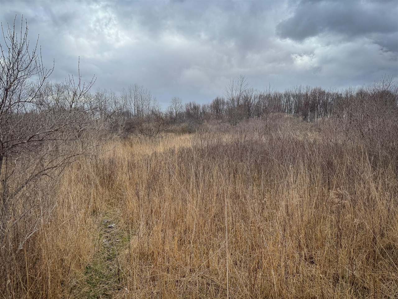 S Crawford Road, Mount Pleasant, MI, 48858
